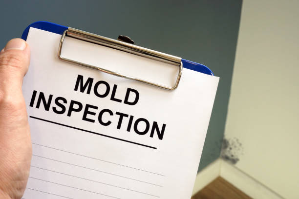 Best Airborne Mold Testing  in Saratoga, WY